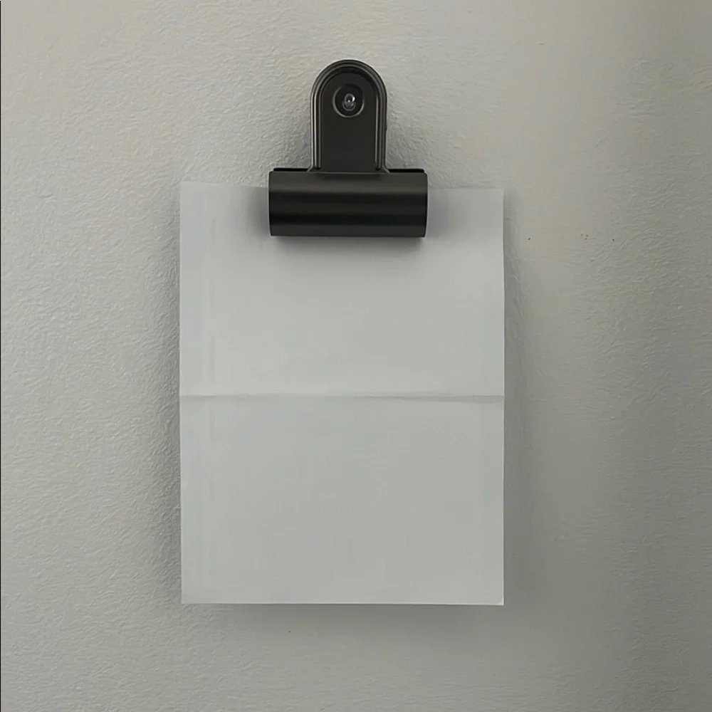 Crate&Barrel/ CB2 Set of Three gunmetal color Metal Clips